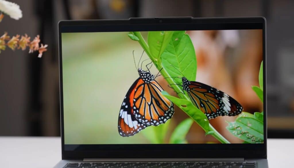 Amazon Great Summer Sale 2024